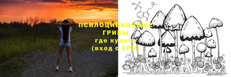 МЕГА зеркало  Богородицк  площадка какой сайт  Галлюциногенные грибы прущие грибы 